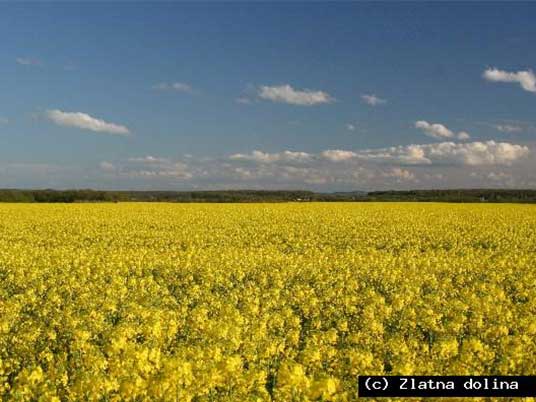 OBAVIJEST POVJERENIKA VEZANO UZ REPICU