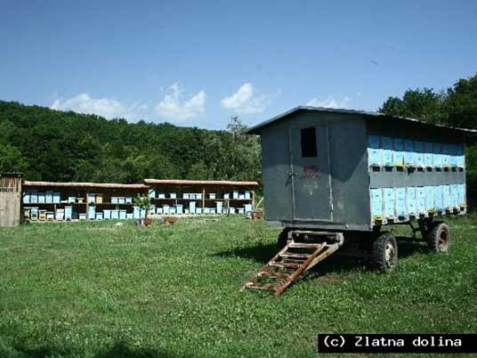 RADOVI NA PČELINJAKU