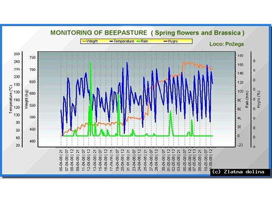 GRAFOVI MOTRENJA (GRAPHS OF BEEPASTURES)