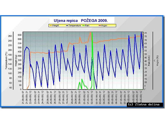 MONITORING 2009.