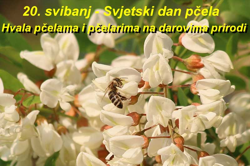 Čestitamo 20.svibanj