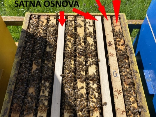 Sprječavanje rojenja pčelinje zajednice